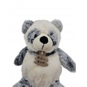 HISTOIRE D'OURS Doudou panda